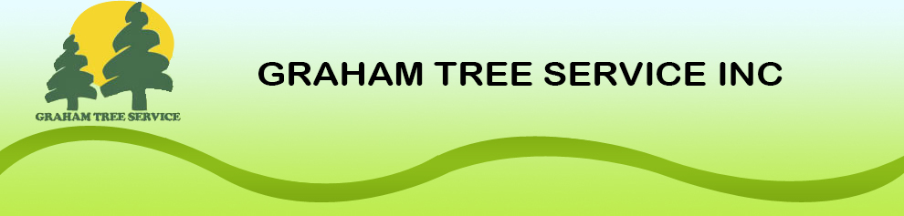 Graham Tree Service, San Leandro, Bay Area
